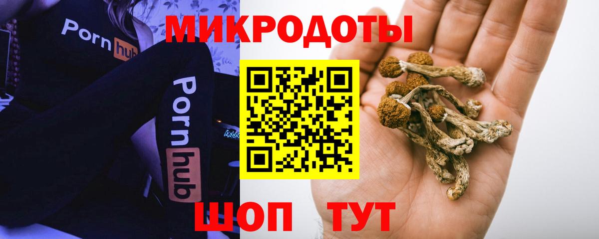 Обь  Галлюциногенные грибы прущие грибы  Вход с VPN  Псилоцибиновые грибы Cubensis 